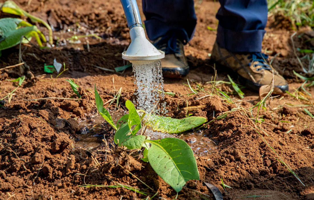 A ‘big bet’ on irrigation for Kenya’s smallholder farmers Dalberg
