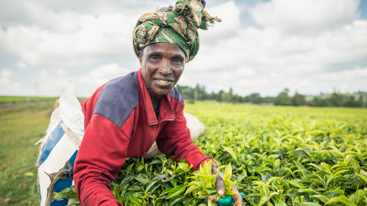Building Stronger Livelihoods for Rural Women A MultiStakeholder