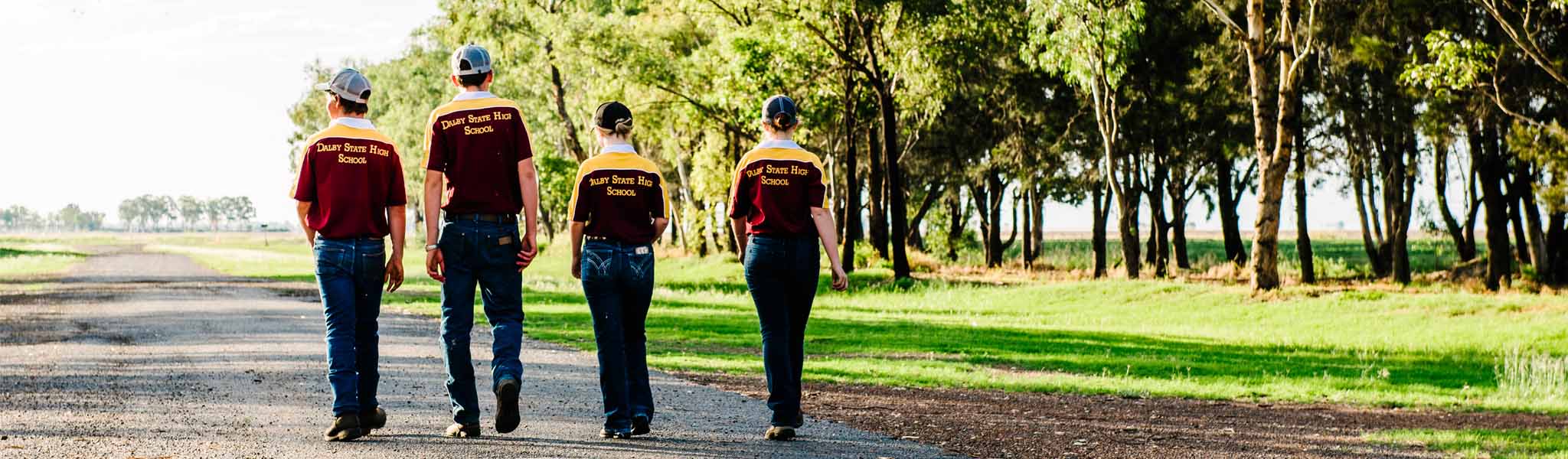 Job search Employment and jobs Queensland Government