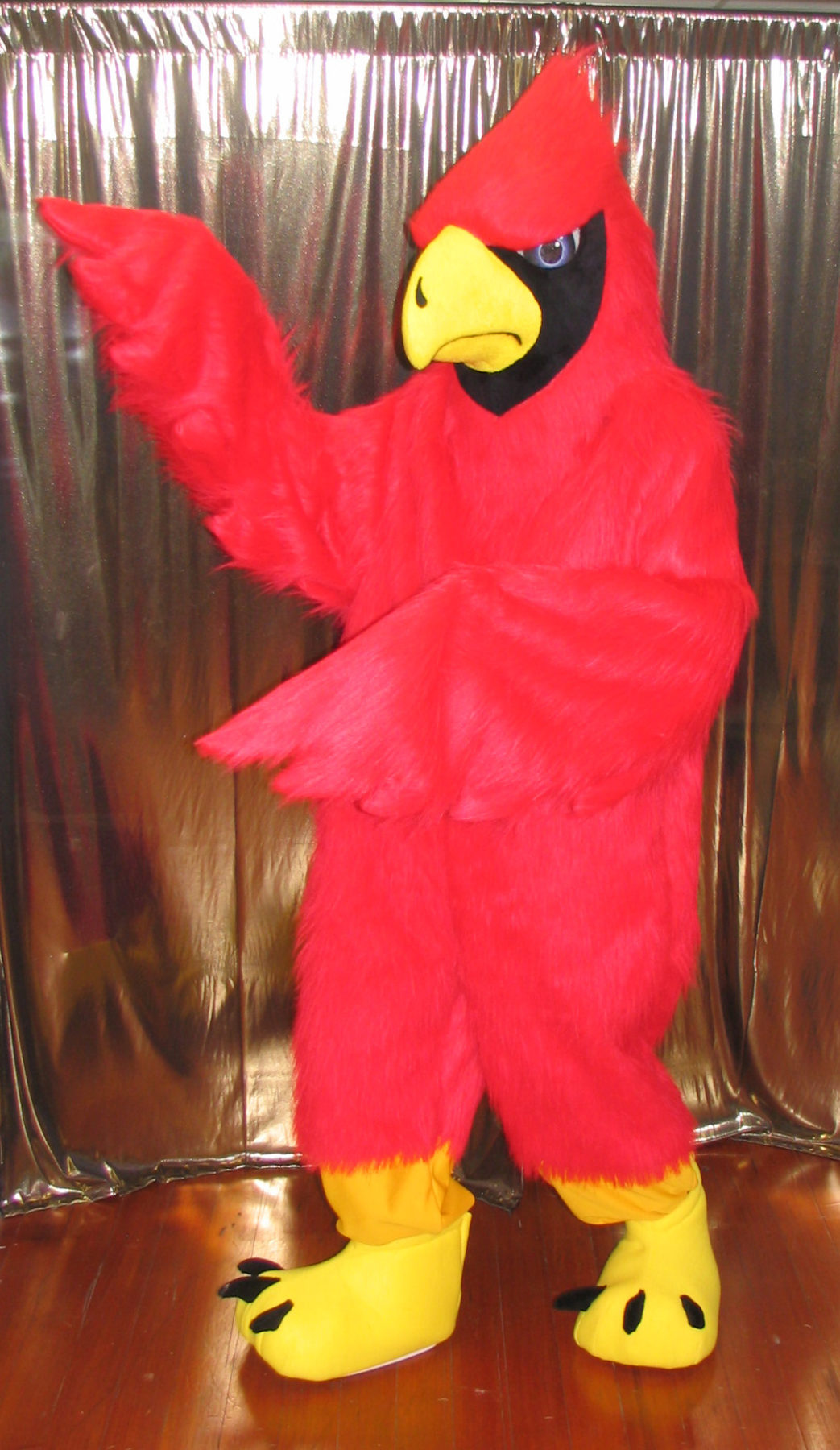 Cardinal OfftheShelf Costume Dale Morton Studio