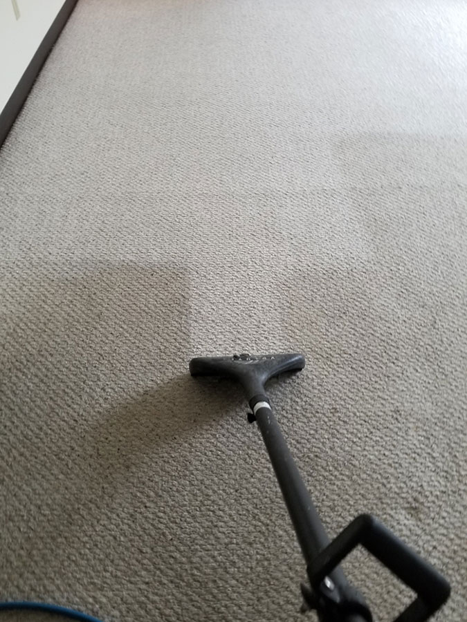 Residential & Commercial Carpet Cleaning Services Winona MN