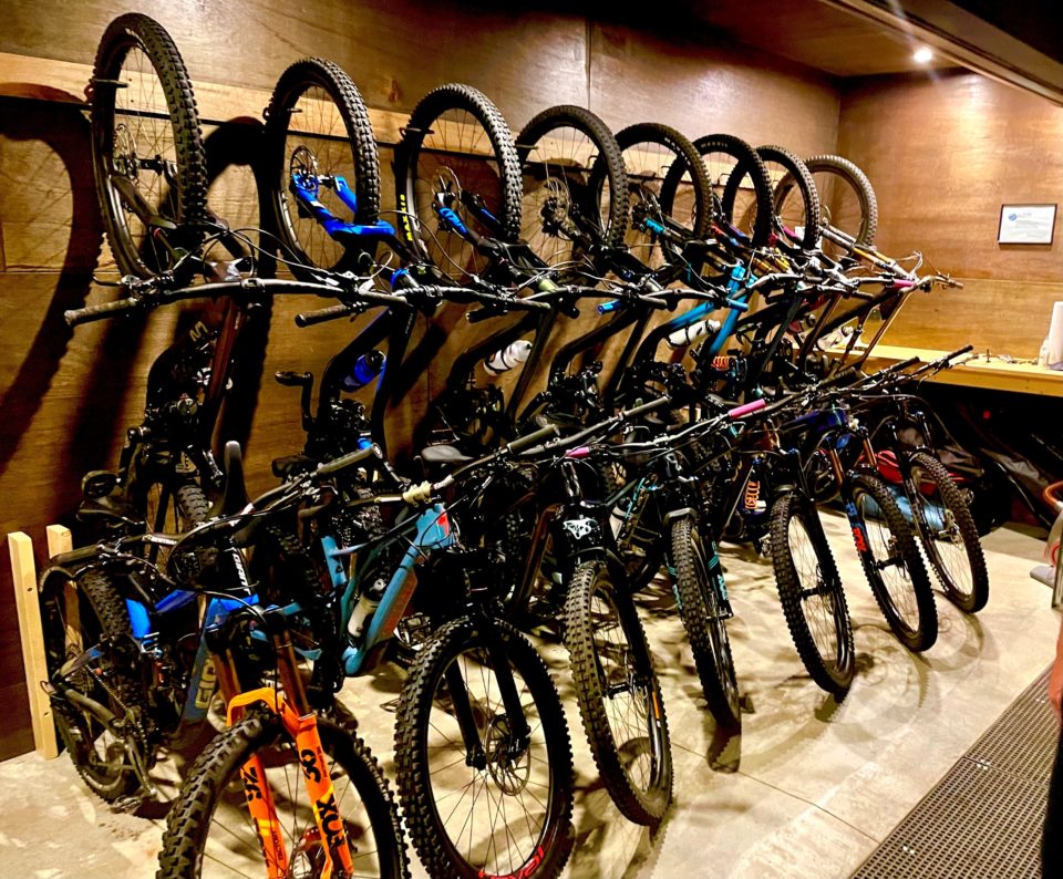 Dales of Derby The GIANT/LIV Nerang Crew