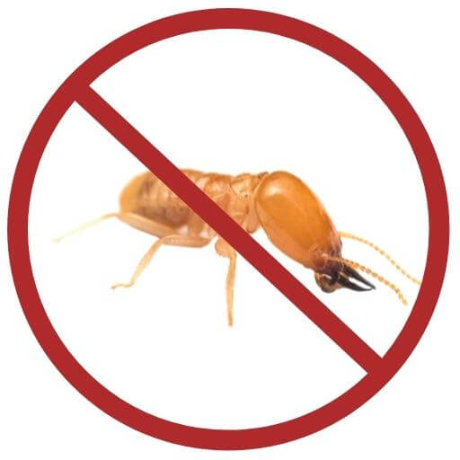 Pest Control Brisbane Dales Pest Control 1 Local Pest Removal Company