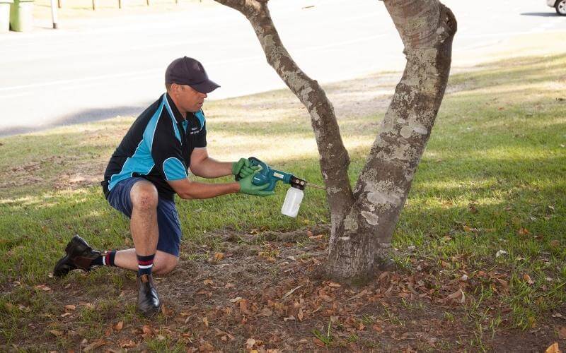 Pest Control Services In Brisbane, Dales Pest Control