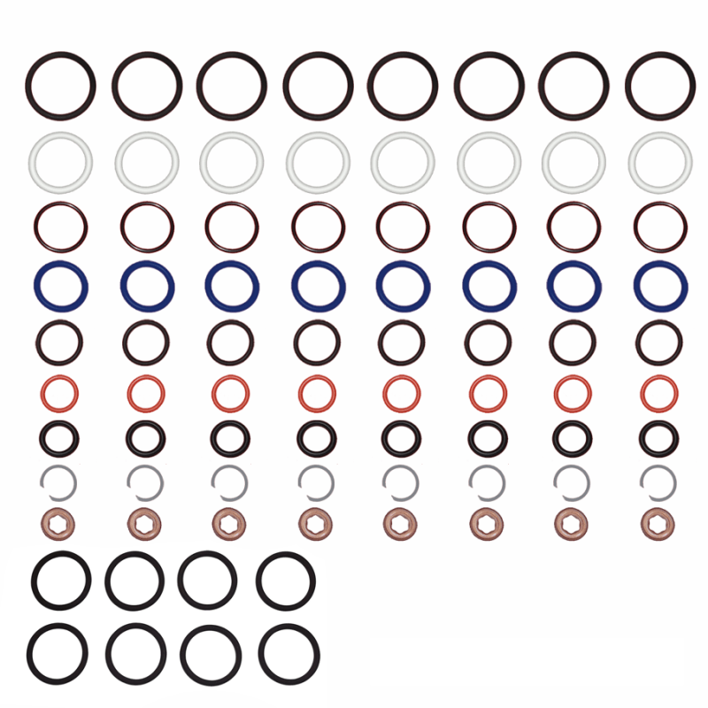 6.0 Powerstroke Oring Kit & HP Oil Rail Ball Tube Kit 20032007 Ford