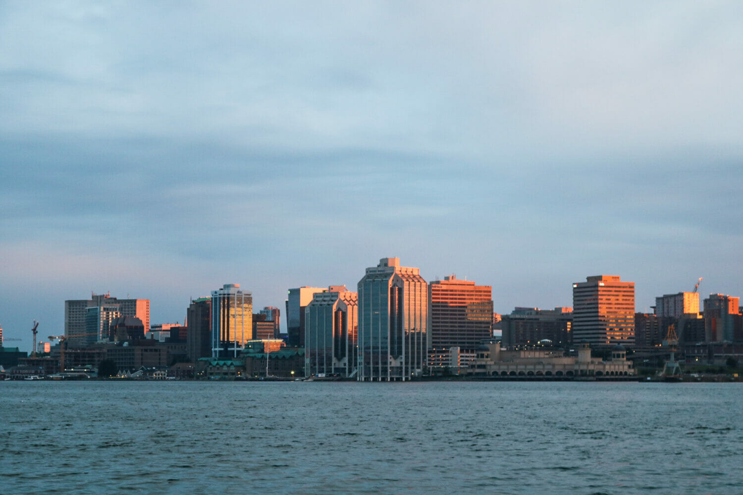 Halifax Know Me Dalhousie Gazette