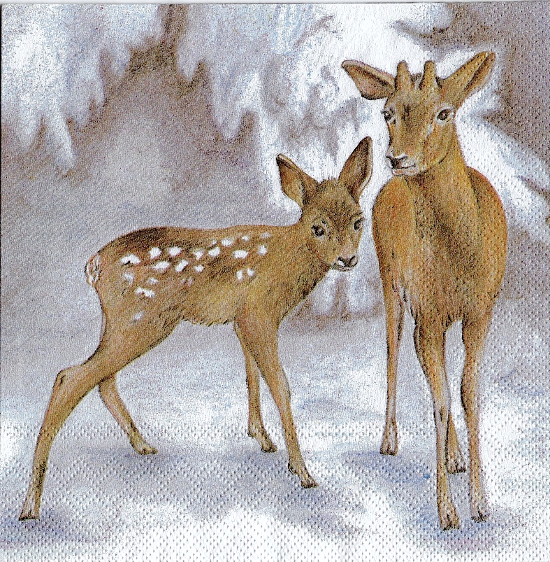 Rare art Hinds Dalila's Napkins