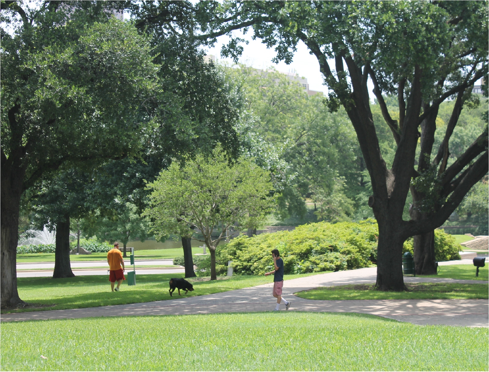 5 Best Study and Work Spots in Oak Lawn Dallas Apartment Locators