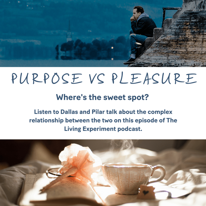 Purpose vs Pleasure Where’s the Sweet Spot? Dallas Hartwig