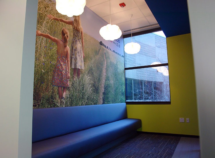 Dallas Mural Custom Wall Murals in Dallas TX