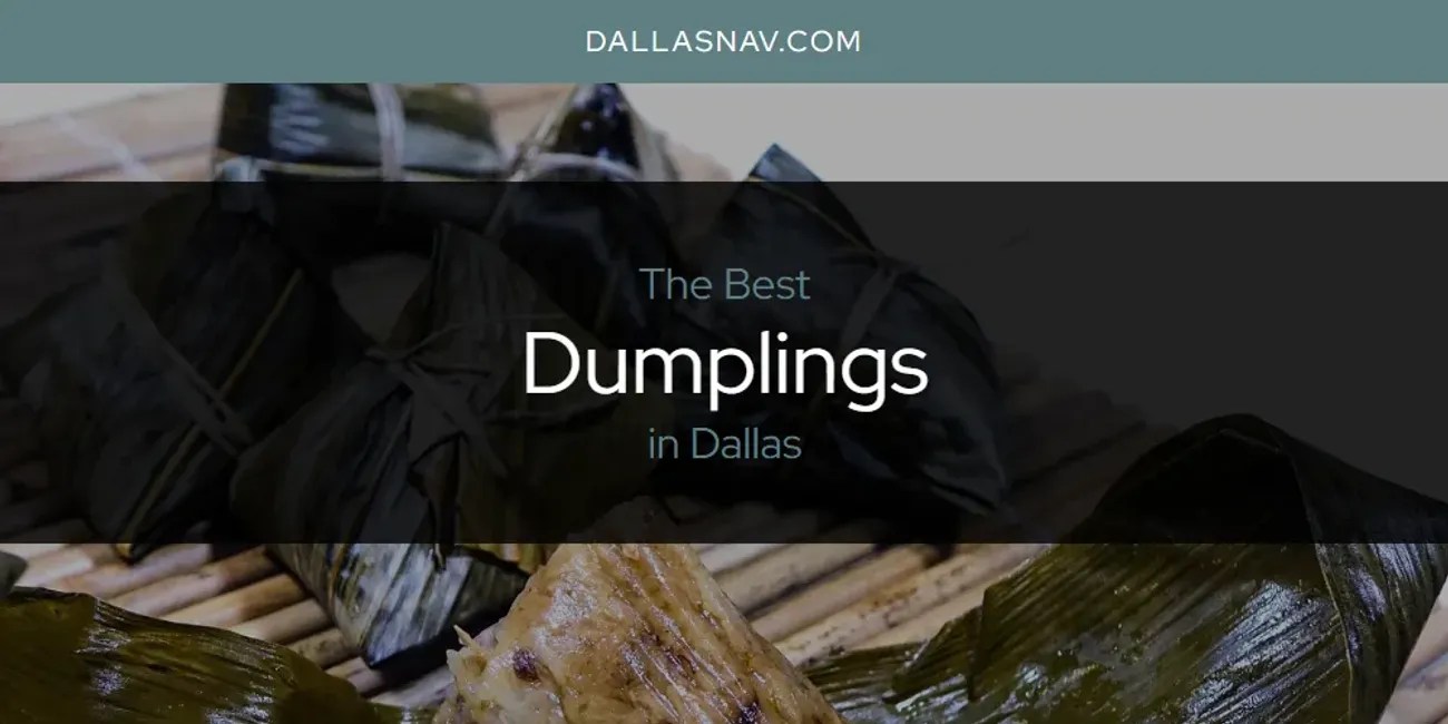 The Absolute Best Dumplings in Dallas [Updated 2024] Dallas Nav