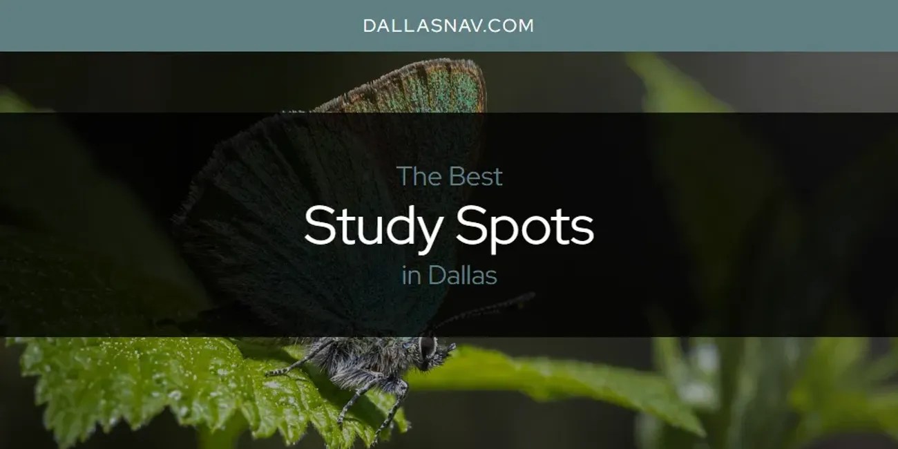 The Absolute Best Study Spots in Dallas [Updated 2024]