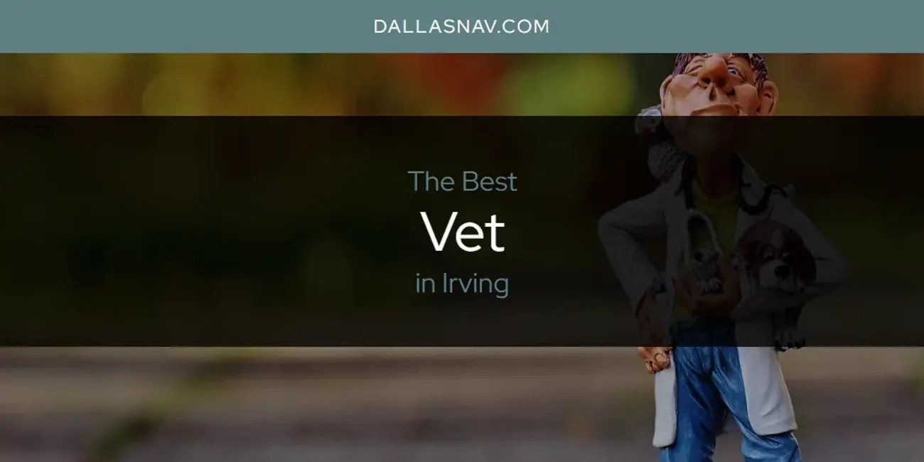 The Absolute Best Vet in Irving [Updated 2024]