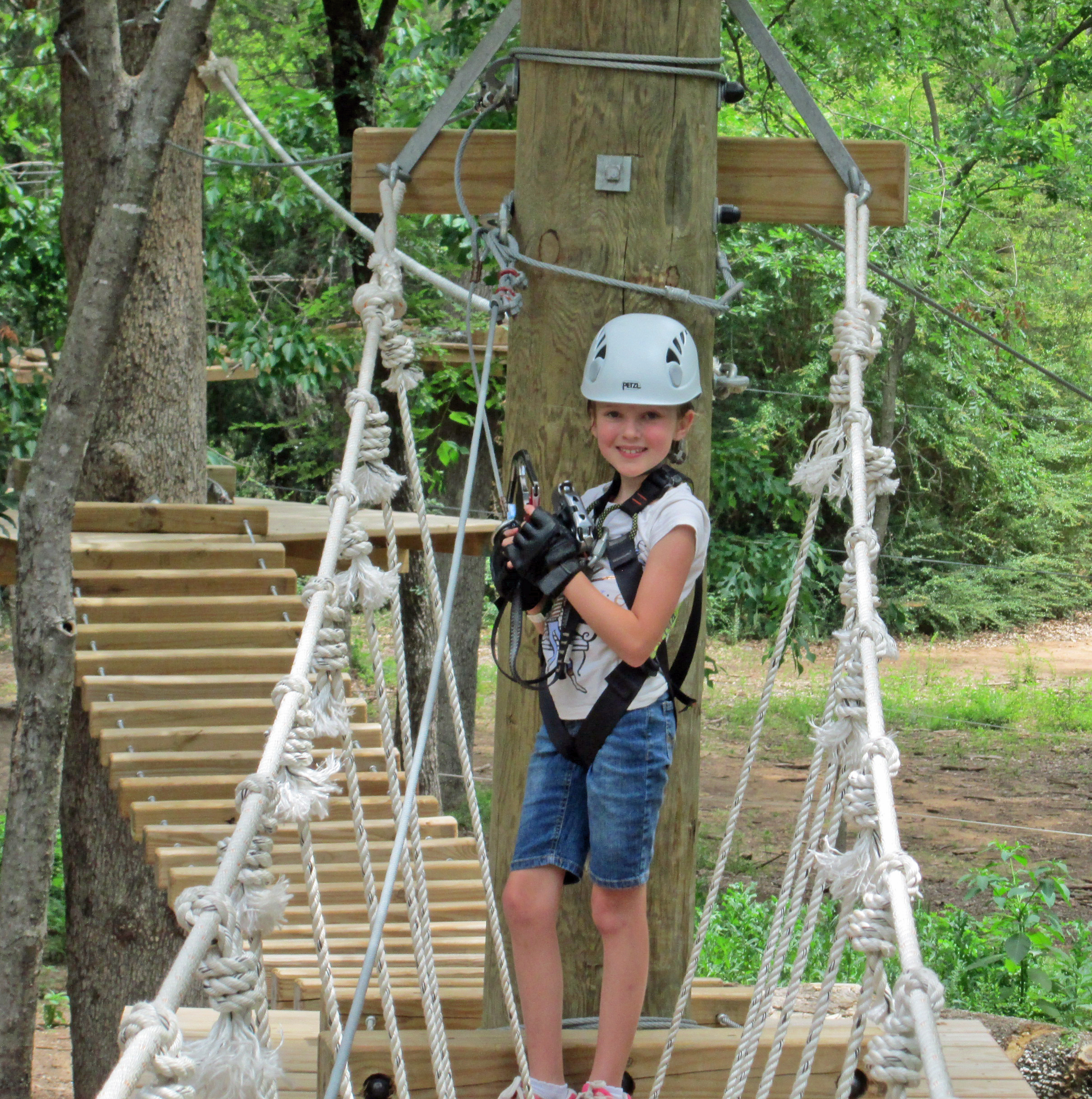 Zip line serves up a thrilling ride through the treetops Life