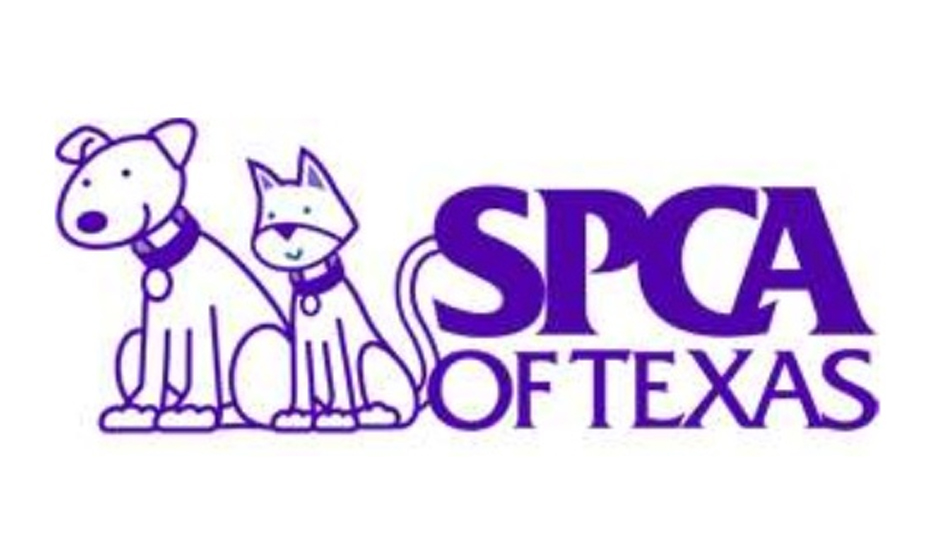 SPCA of Texas suspends all intakes and adoptions Dallas Voice