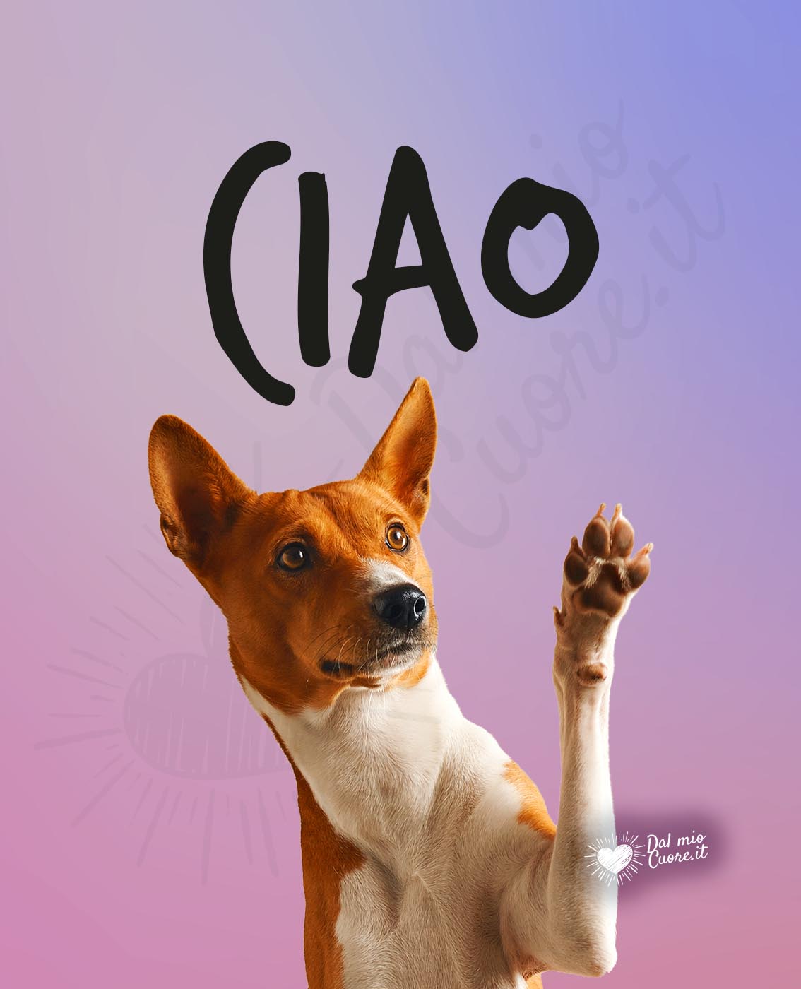 Ciao! Immagini, Video e GIF gratis per Facebook e Whatsapp