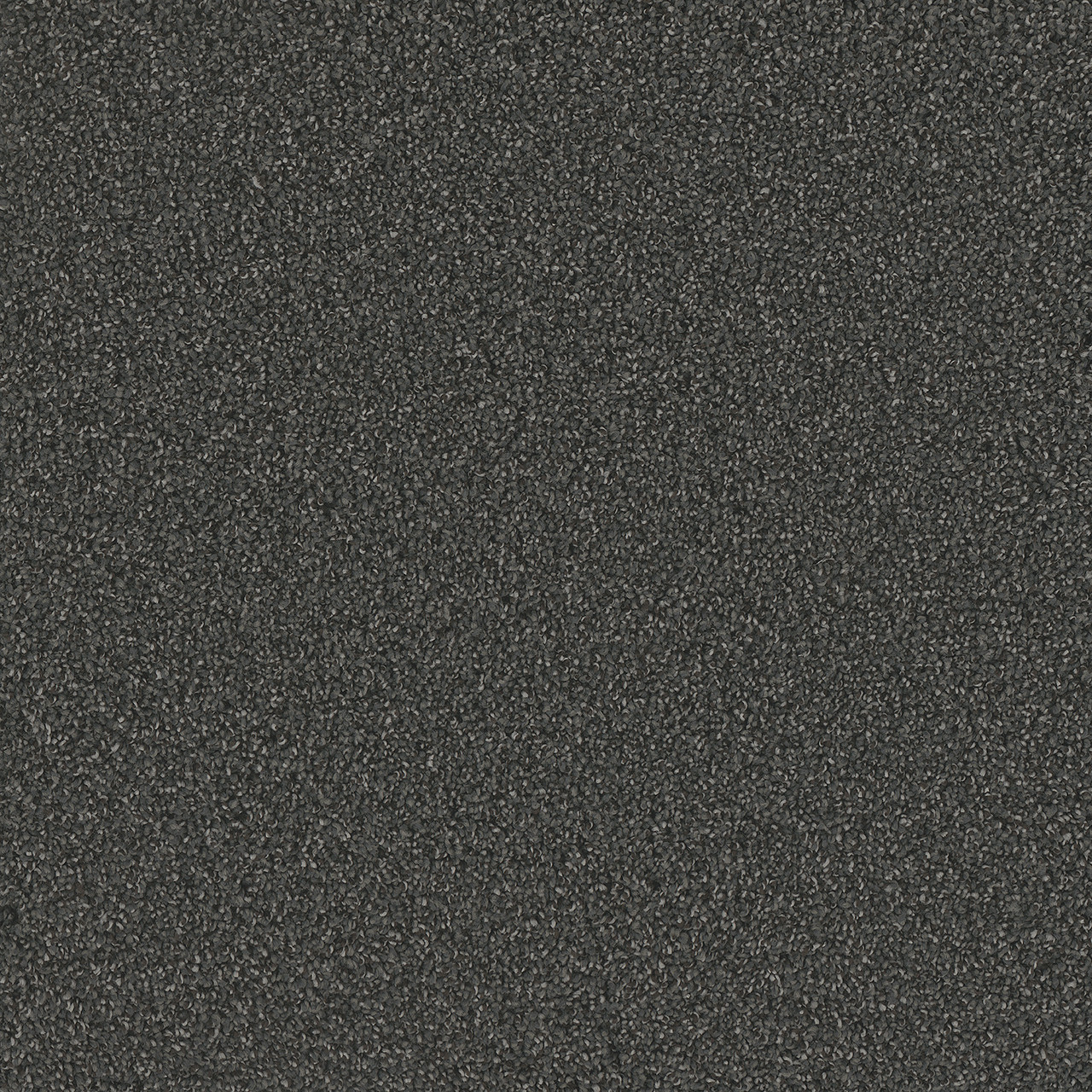 Dreamweaver Carpet No Limits I Heavy Metal Carpet 9337_2025 Daltons