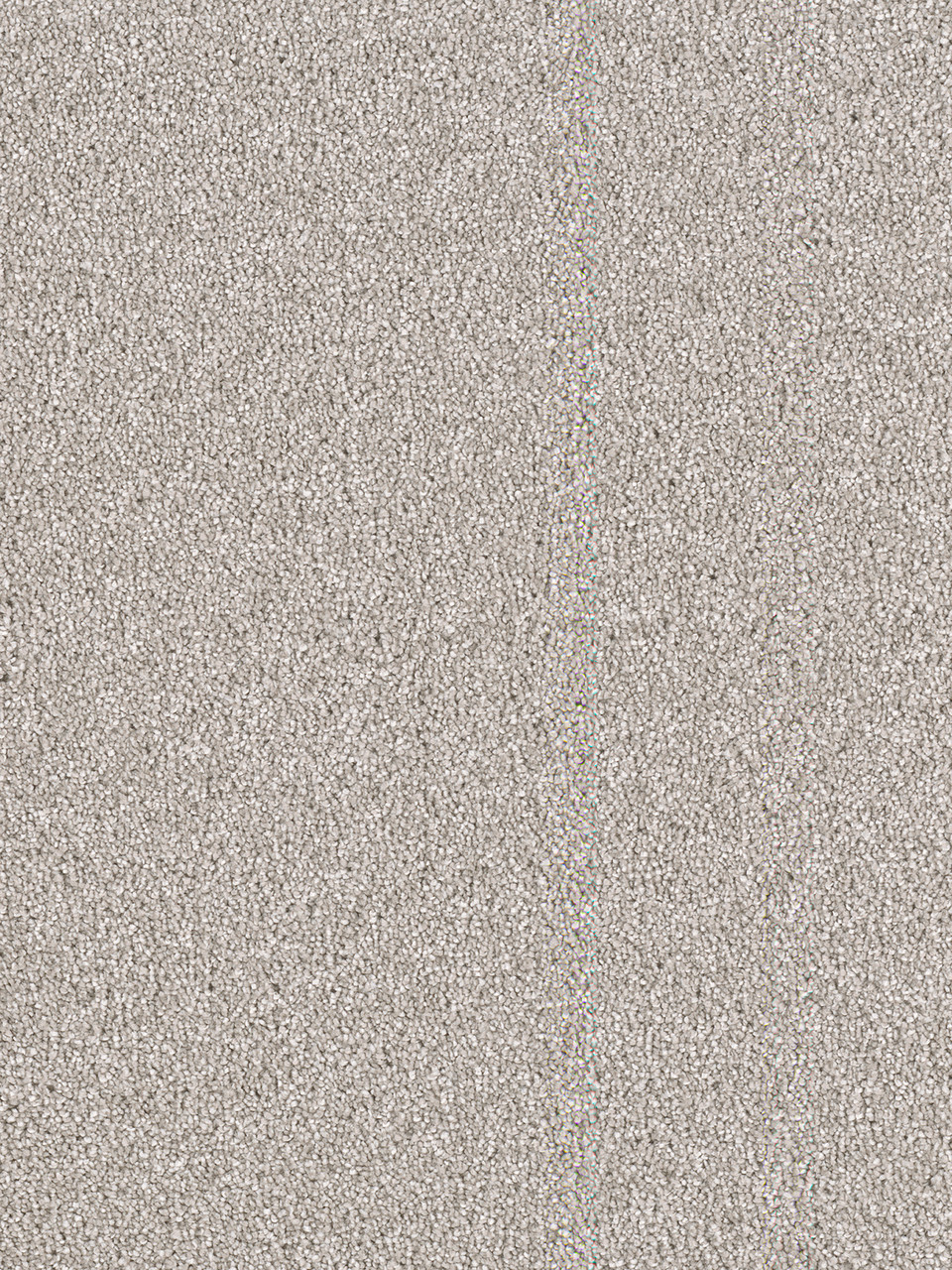 Shop Dreamweaver Carpet East Hampton Silver Lining Carpet 2550_830