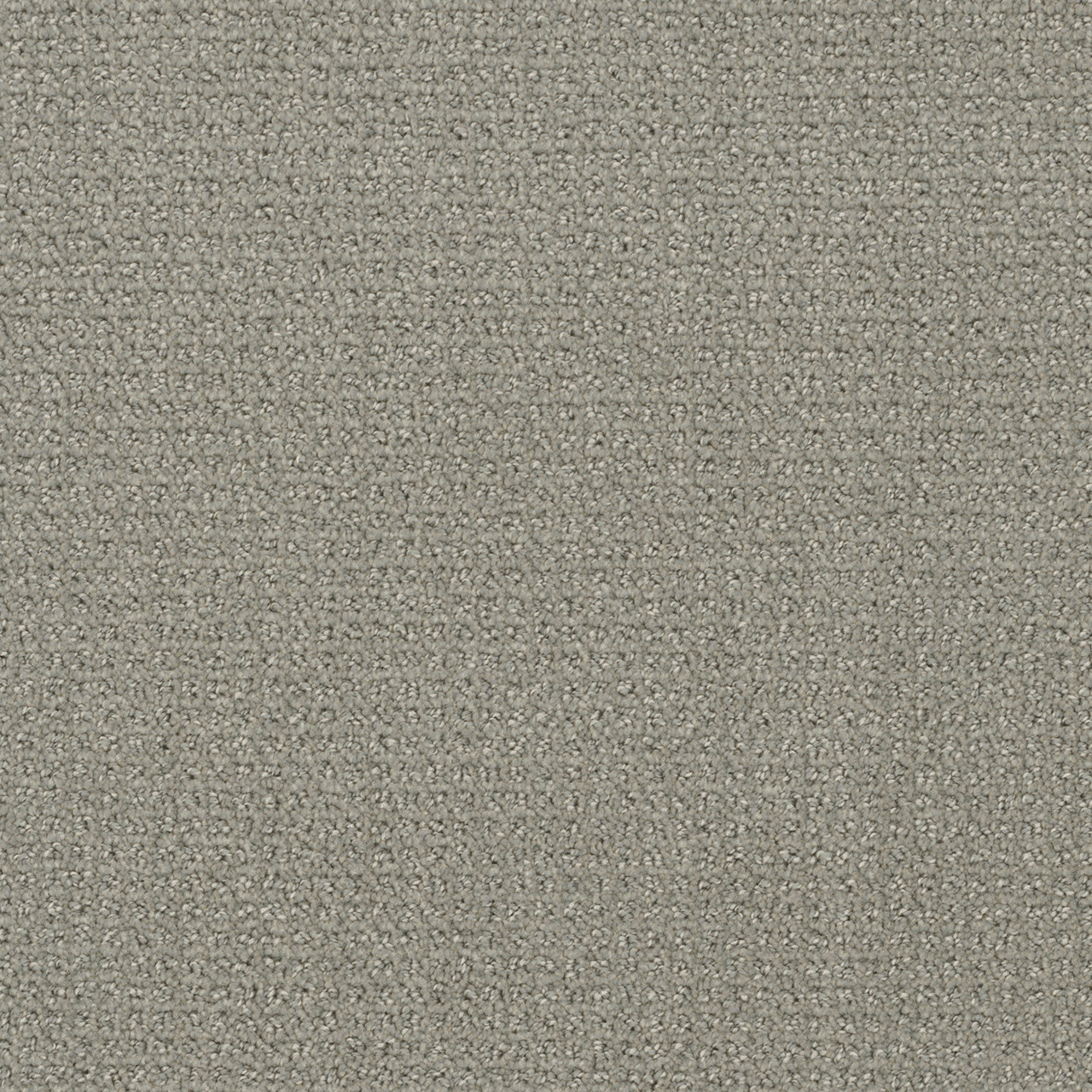 Shop Dreamweaver Carpet Pinpoint Graystone Carpet 2870_6341 Daltons