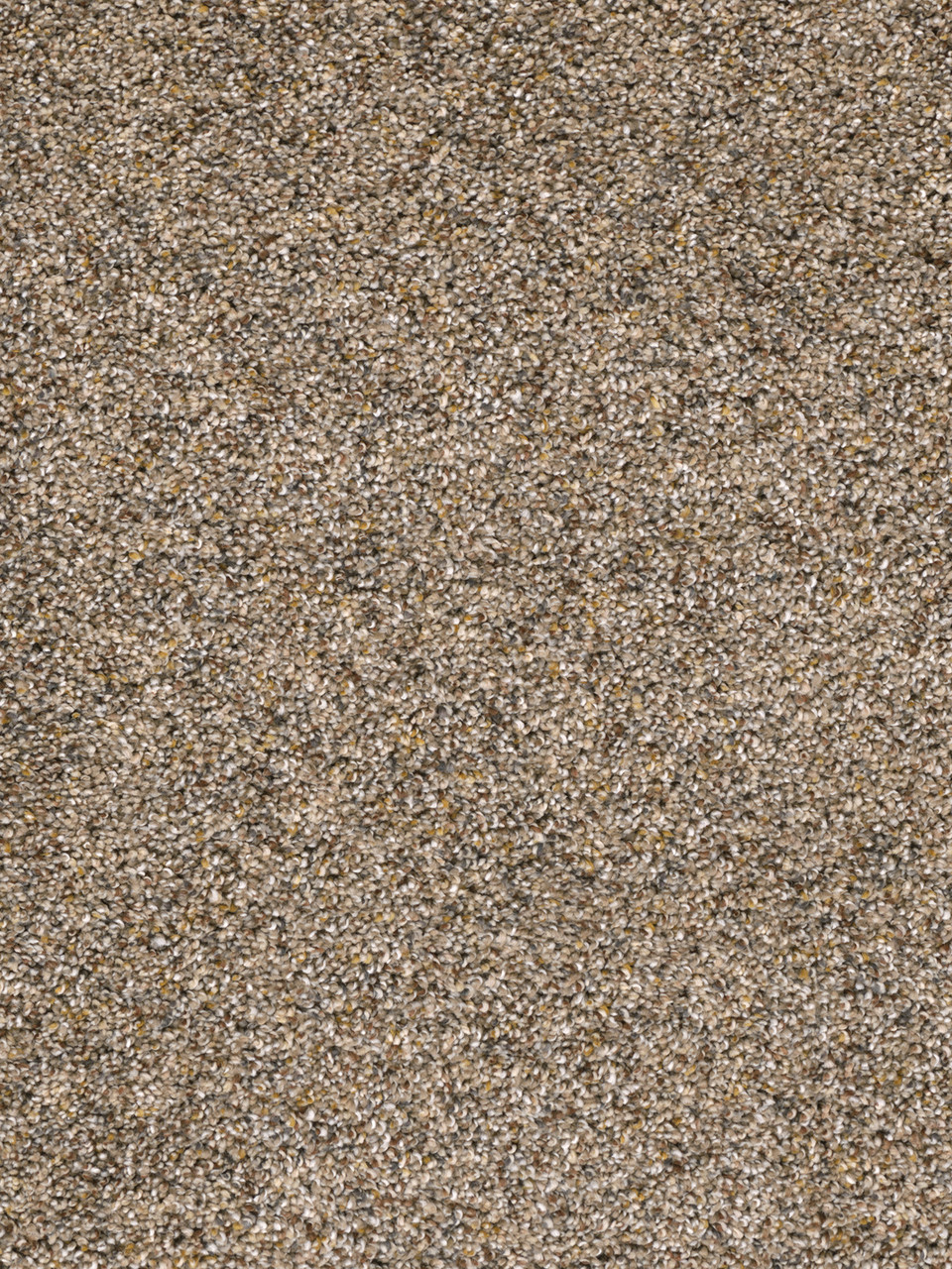 Dreamweaver Carpet Confetti III Bisque Carpet 3160_768 Daltons Best
