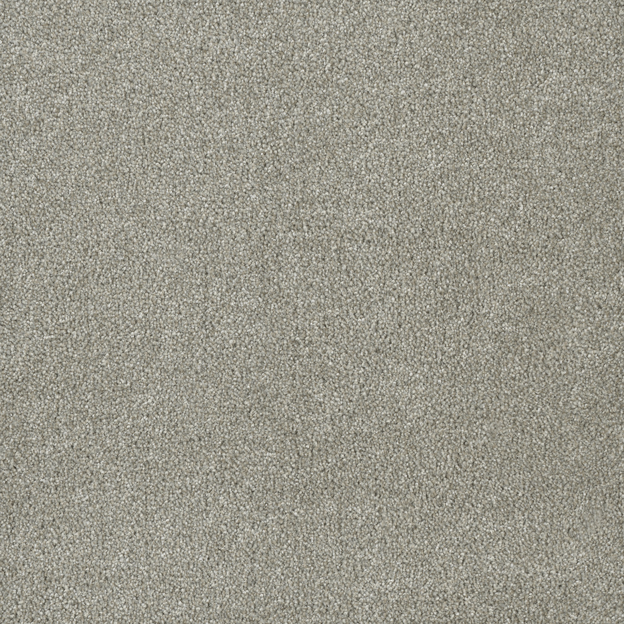 Shop Dreamweaver Carpet Malibu I Orion Carpet 3740_780 Daltons Best