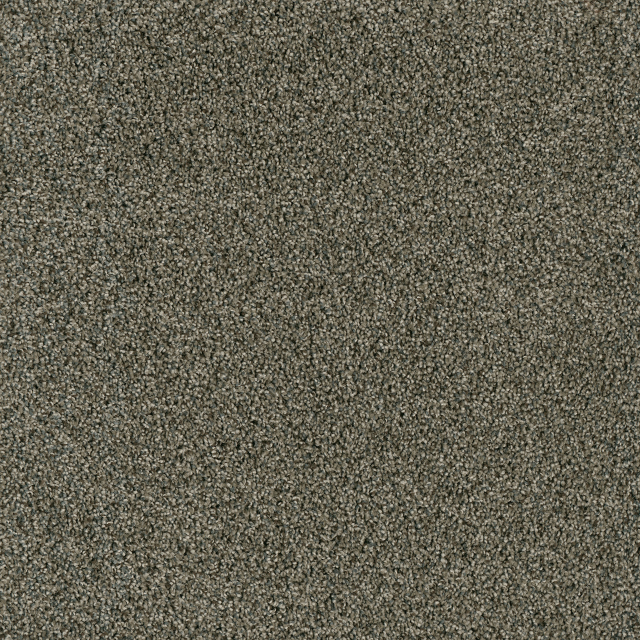 Dreamweaver Carpet Yellowstone Midnight Shadow Carpet 4330_427