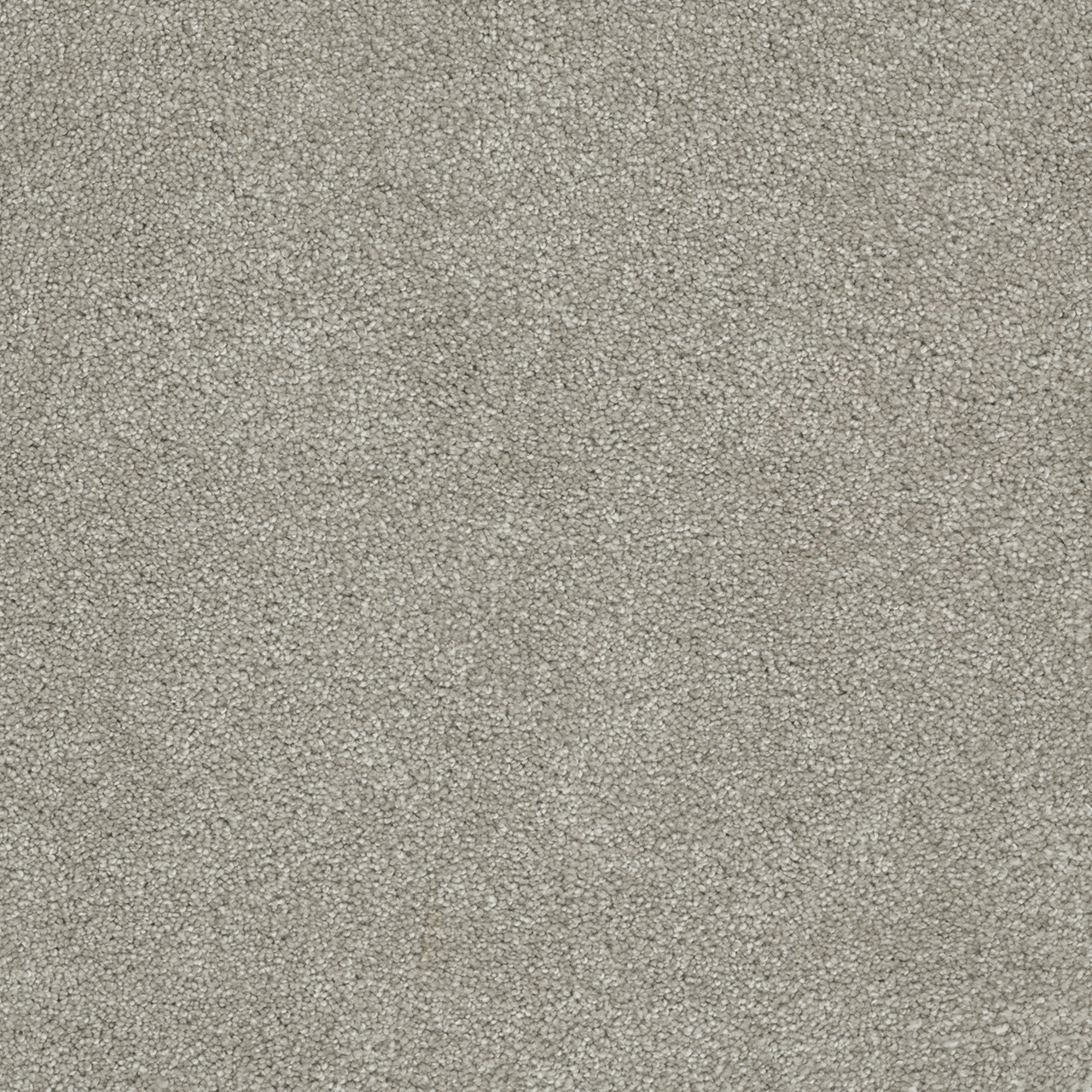 Shop Dreamweaver Carpet Rock Solid II Silver Lining Carpet 4355_830