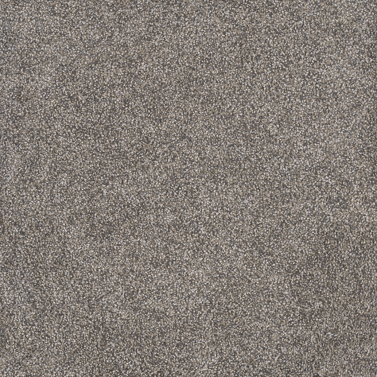 Shop Dreamweaver Carpet Rustic Retreat II Dried Sage Carpet 4455_4112