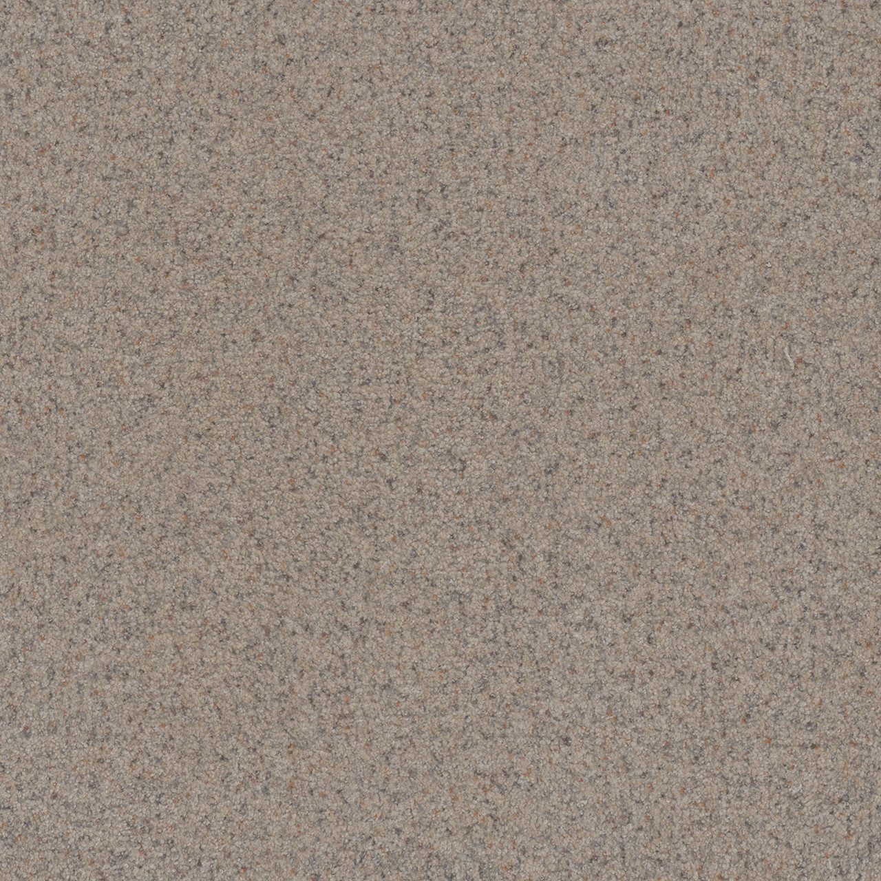 Shop Dreamweaver Carpet Serene III Cottondale Carpet 7165_2141