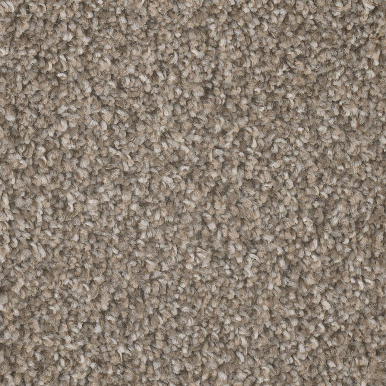 Shop Dreamweaver Carpet Jackson Hole II Campground Carpet 7560_145