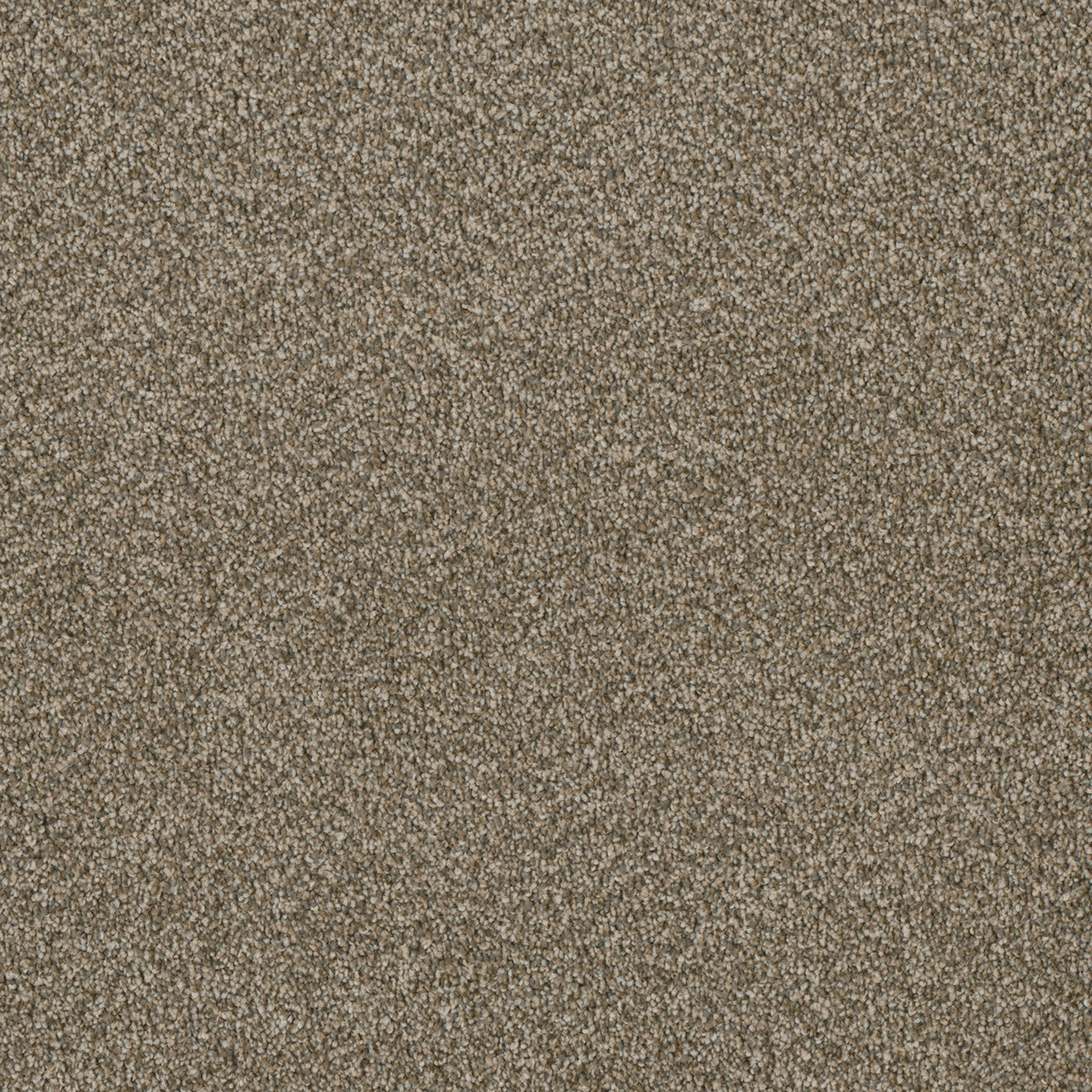 Shop Dreamweaver Carpet Luxor I Sienna Sand Carpet 7740_680 Daltons
