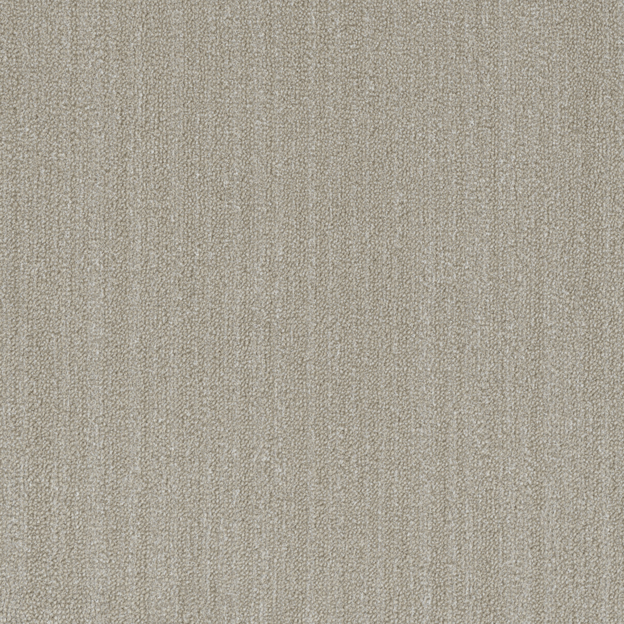 Shop Dreamweaver Carpet DW Select Aberdeen Bon Accord Carpet 8630_3912