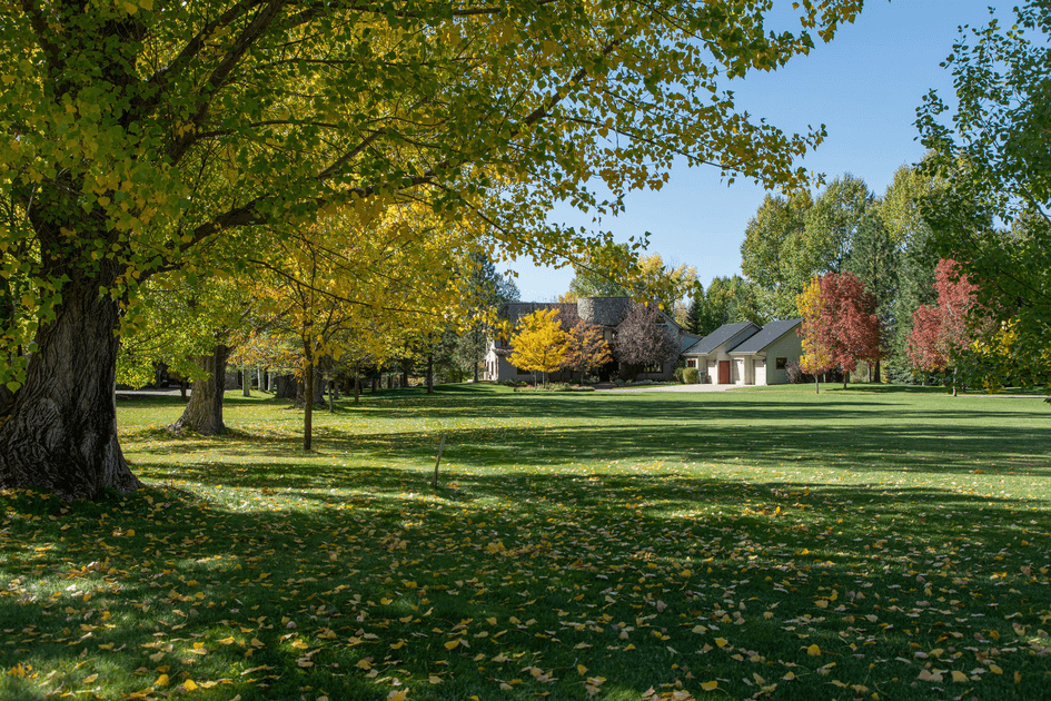 About Daly Property Services