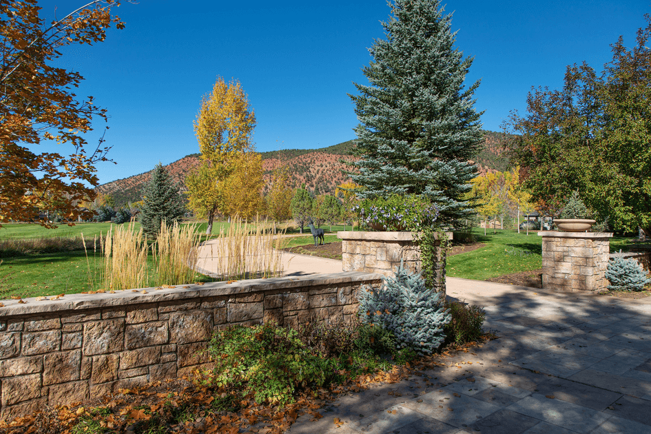 About Daly Property Services