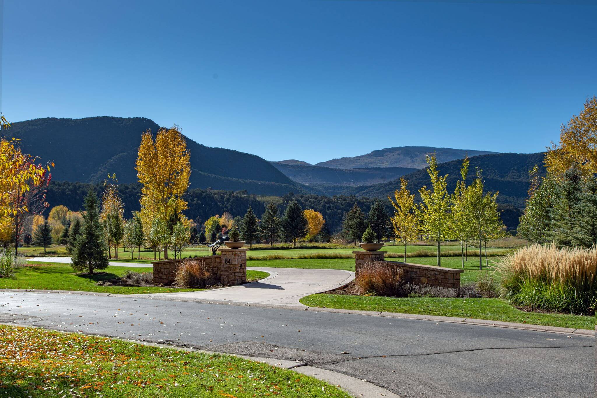 About Daly Property Services