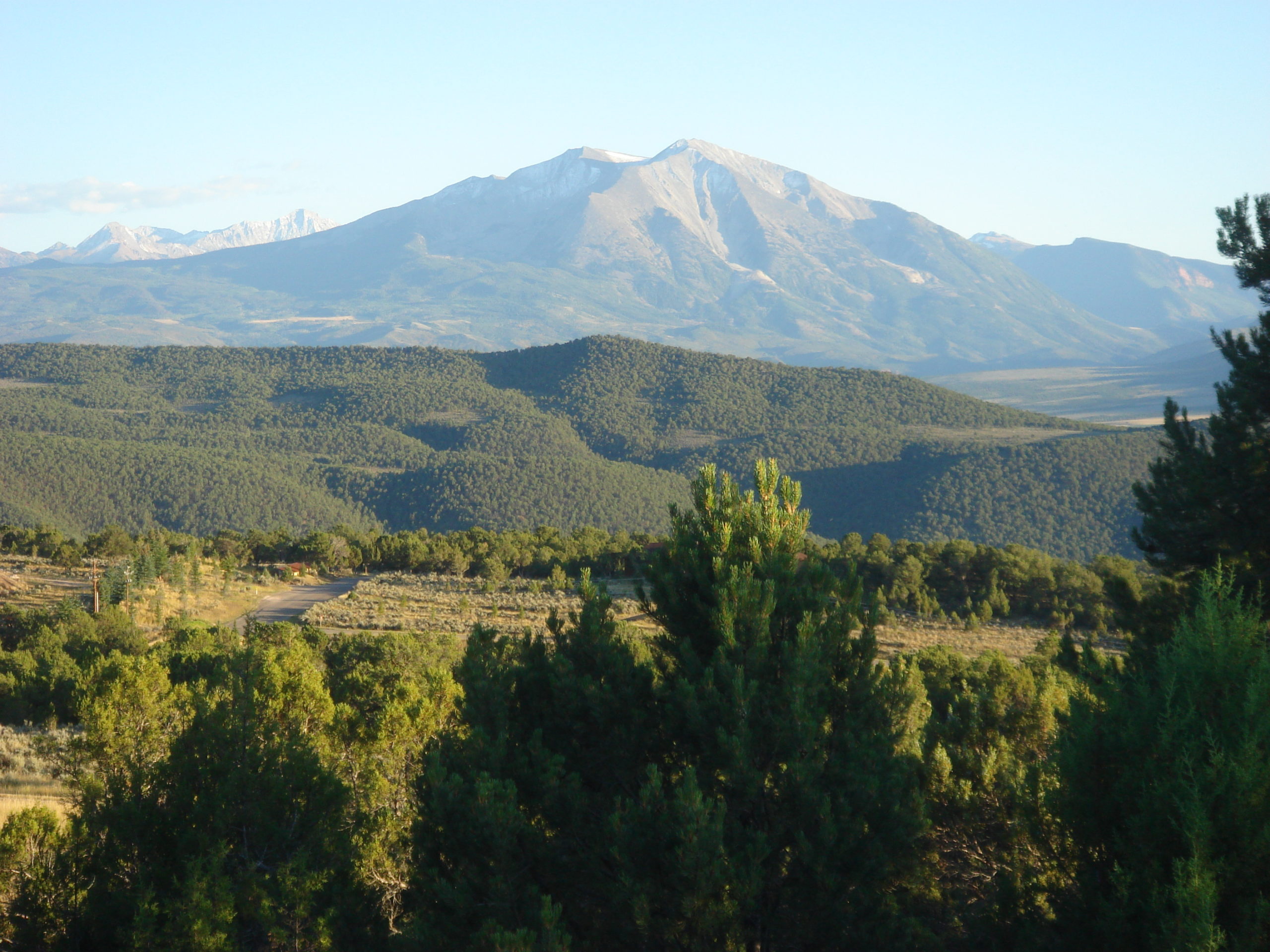 elksprings