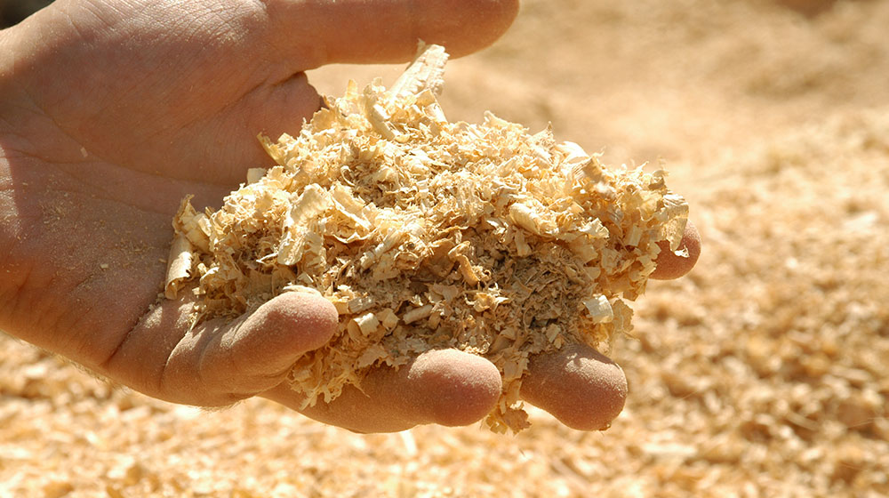 Aserrín 8 usos prácticos que le puedes dar en tu casa y jardín