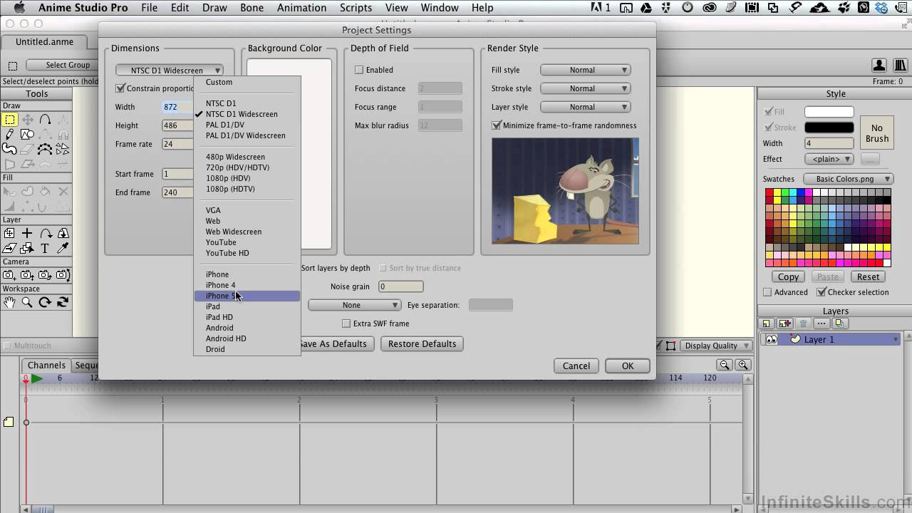 Anime Studio Pro 10 Tutorial Project Settings