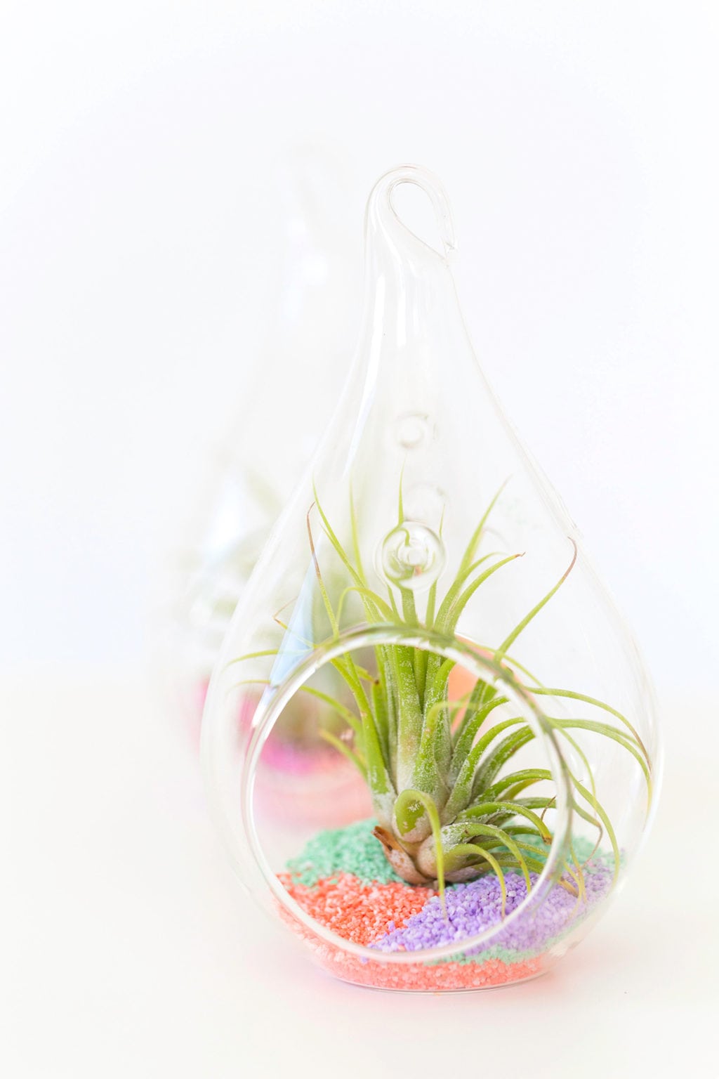 DIY Colored Sand Air Plants Damask Love