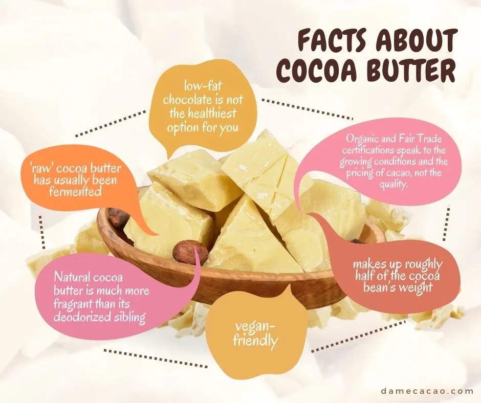 11 Best Chocolate Substitutes for Each Type (Plus 2 to Avoid!)