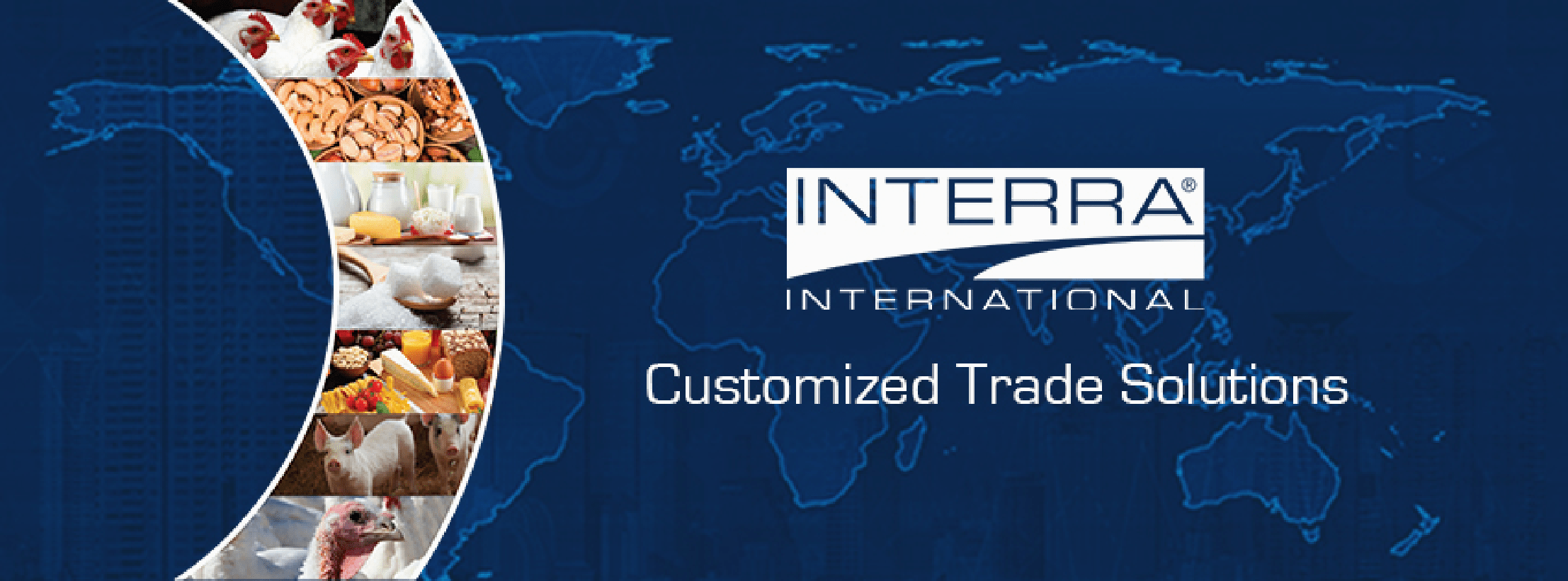 Interra International DAMN Digital & Advertising