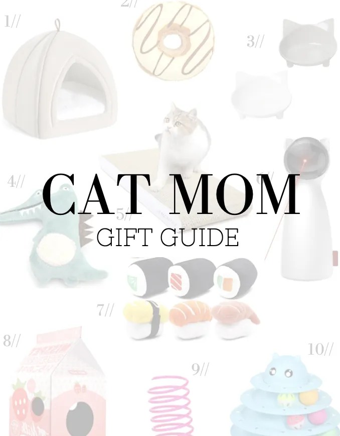 10 Unique Cat Gifts for Cat Moms — Damn, Spicy!
