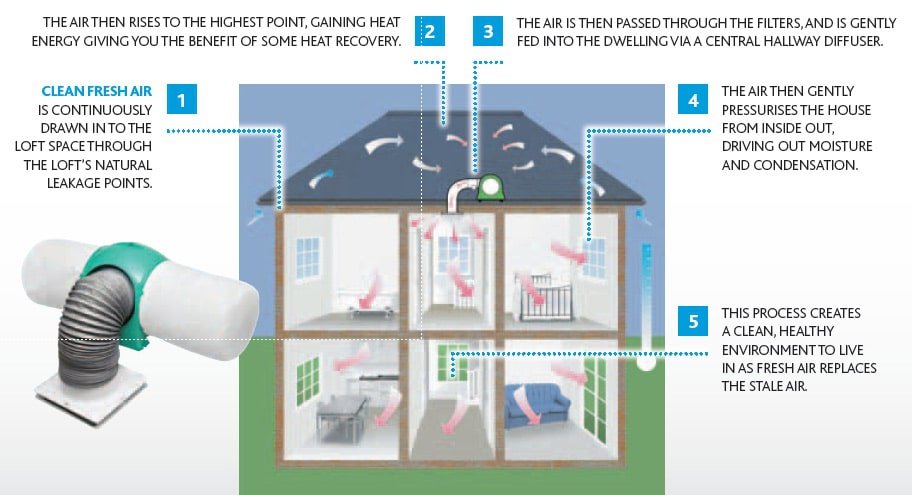 Condensation, Mould & Ventilation Solutions Dampdoctor