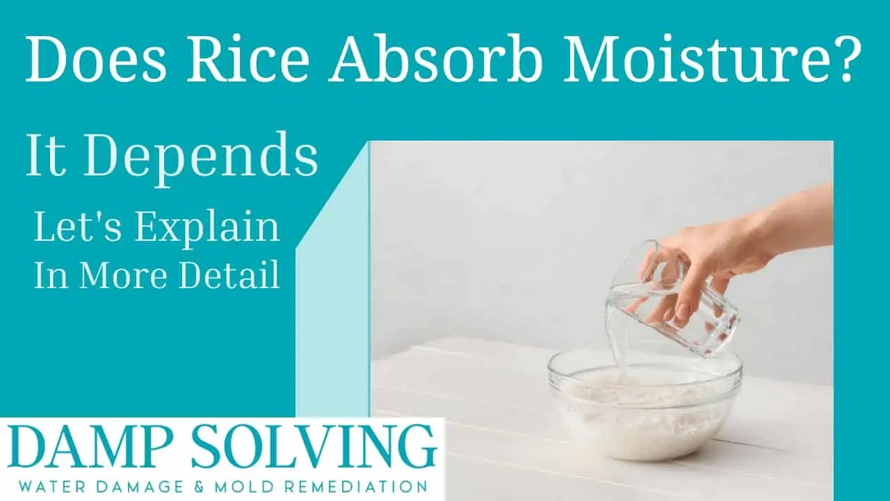 Can Rice Be Used to Absorb Moisture? Finally, The Actual Answer