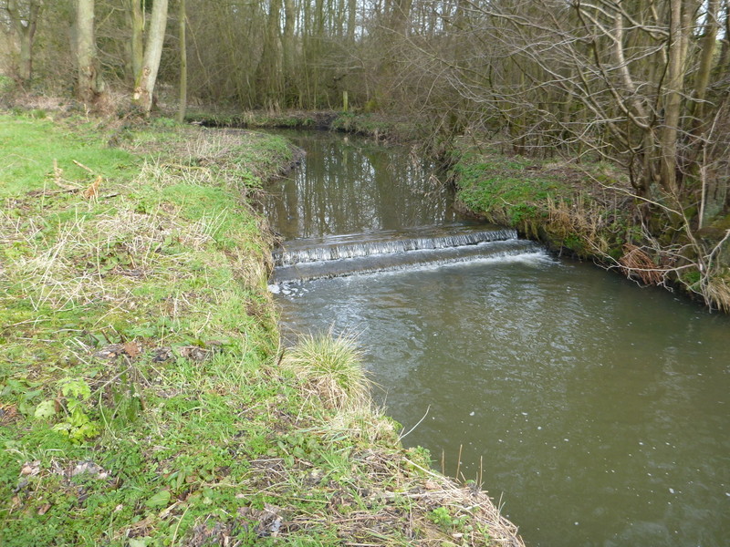 50 Weir Removals on the River Dove, UK Dam Removal Europe