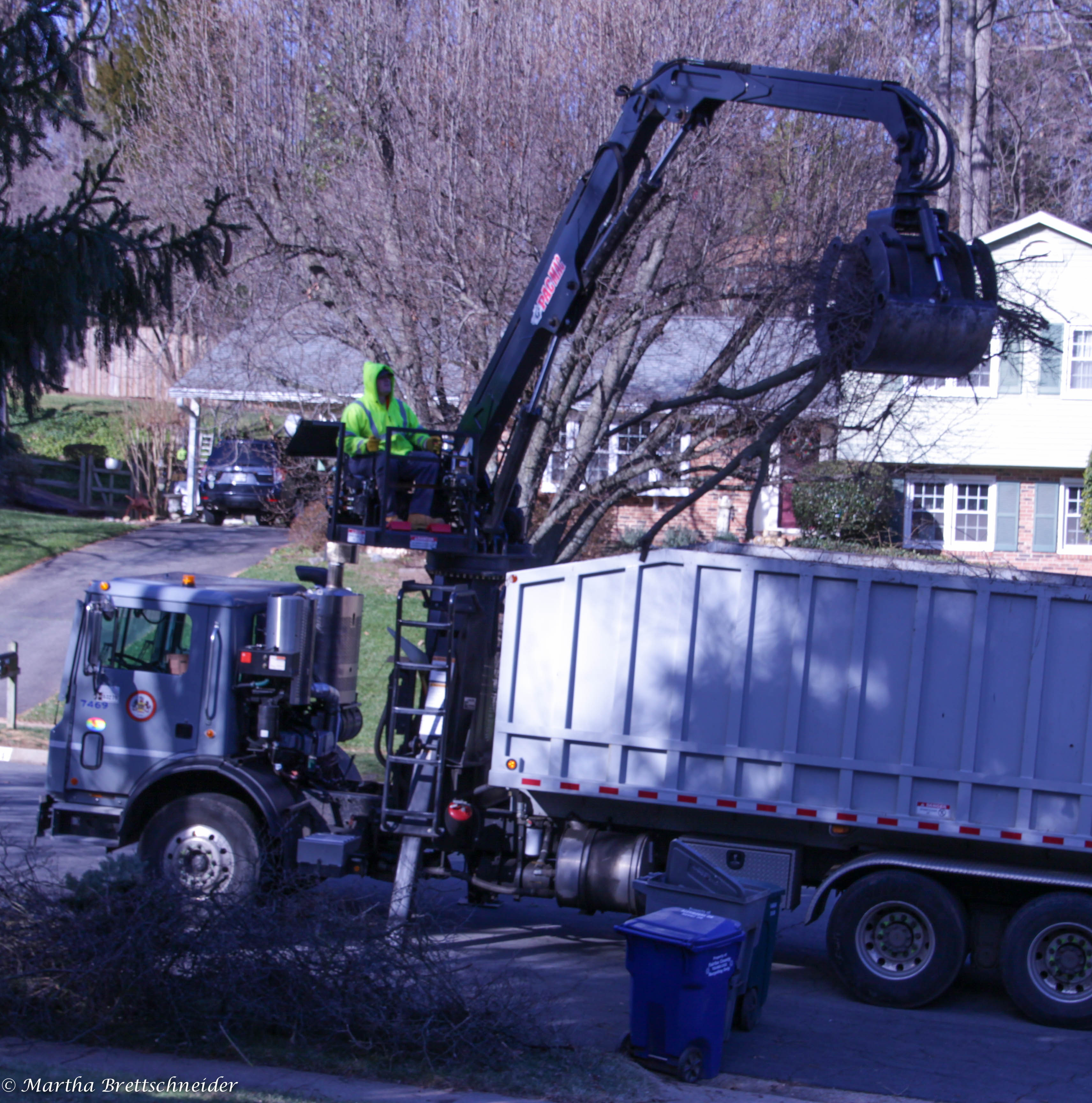 How to Jumpstart the New Year Clear Out Dead Wood (of all sorts