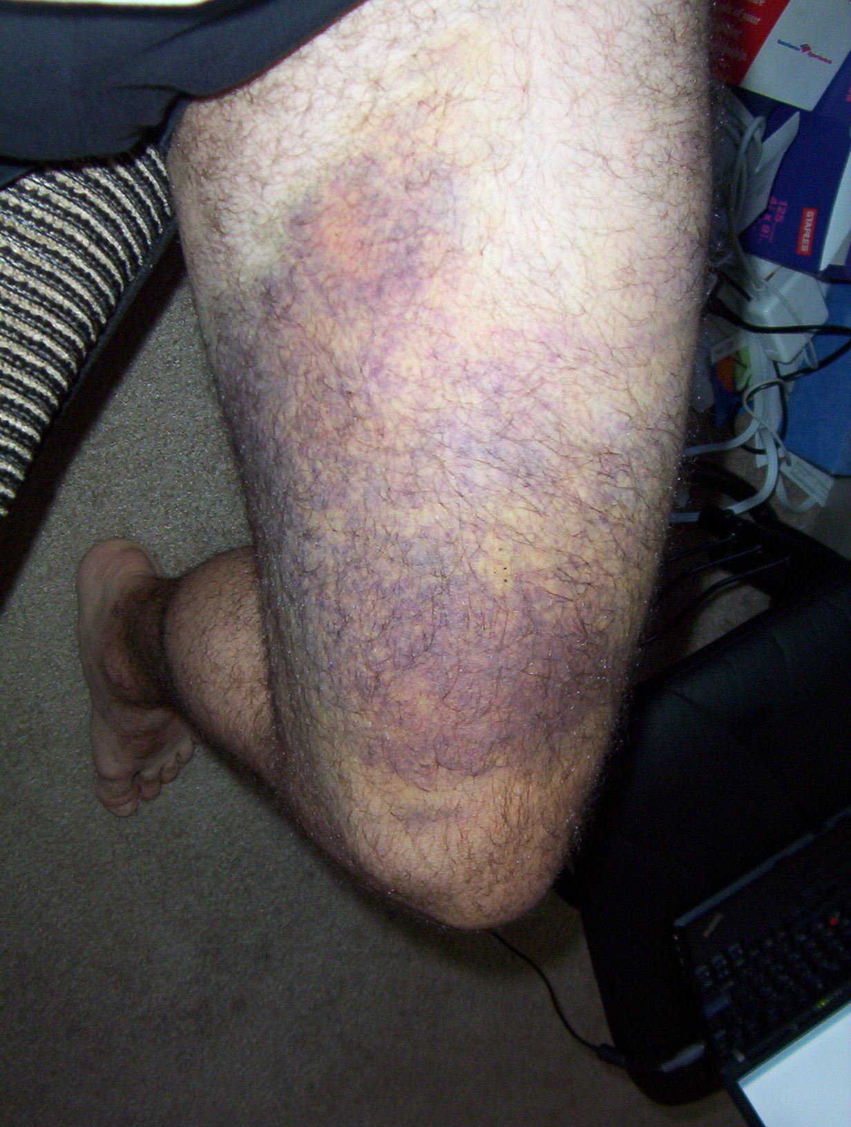 August 2008 Dan Langille's Other Diary