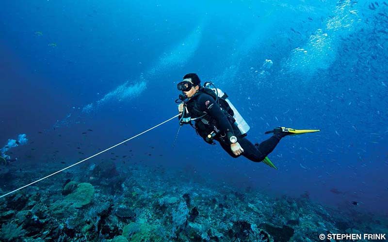 Scuba Diving and Life Expectancy Divers Alert Network
