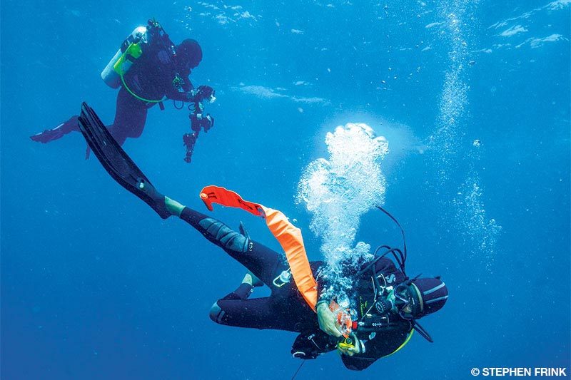 Current Dives Divers Alert Network