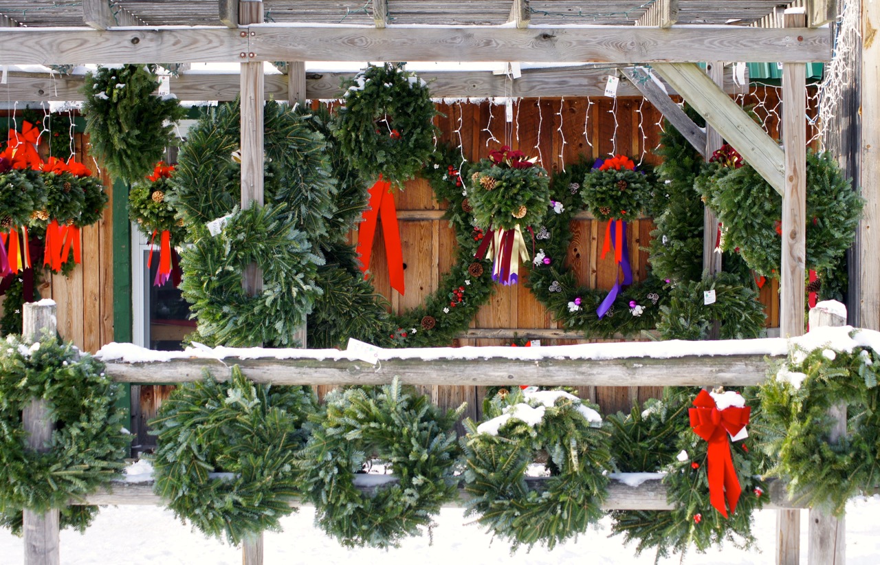 Dana Freeman Travels Vermont Christmas Tree Farms Dana Freeman Travels